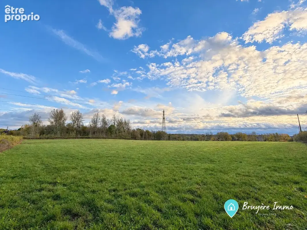 Terrain 36 000 m² à vendre à Fourmies (59610) - photo 4
