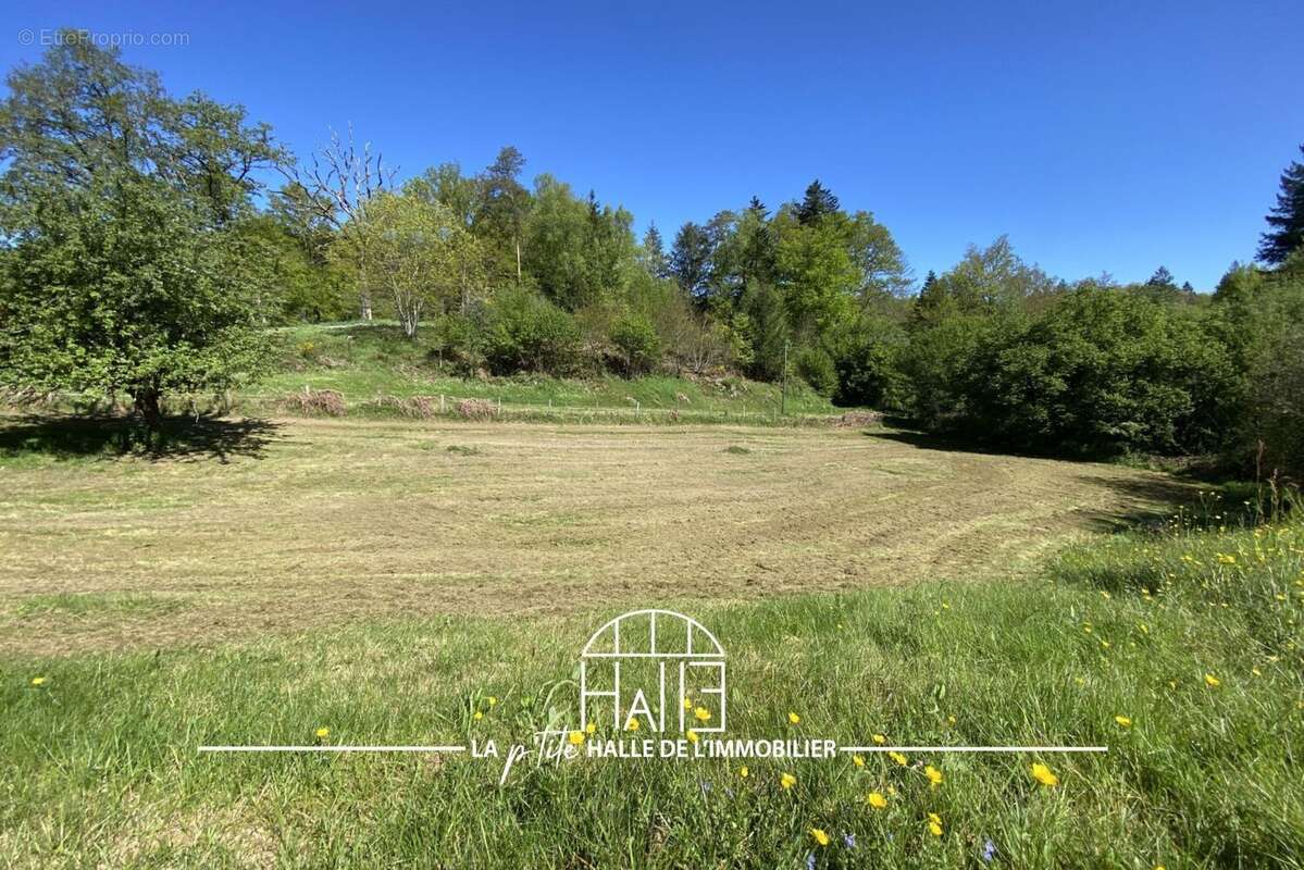 Terrain à BONNAC-LA-COTE