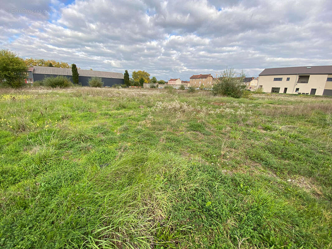 Terrain à PARAY-LE-MONIAL