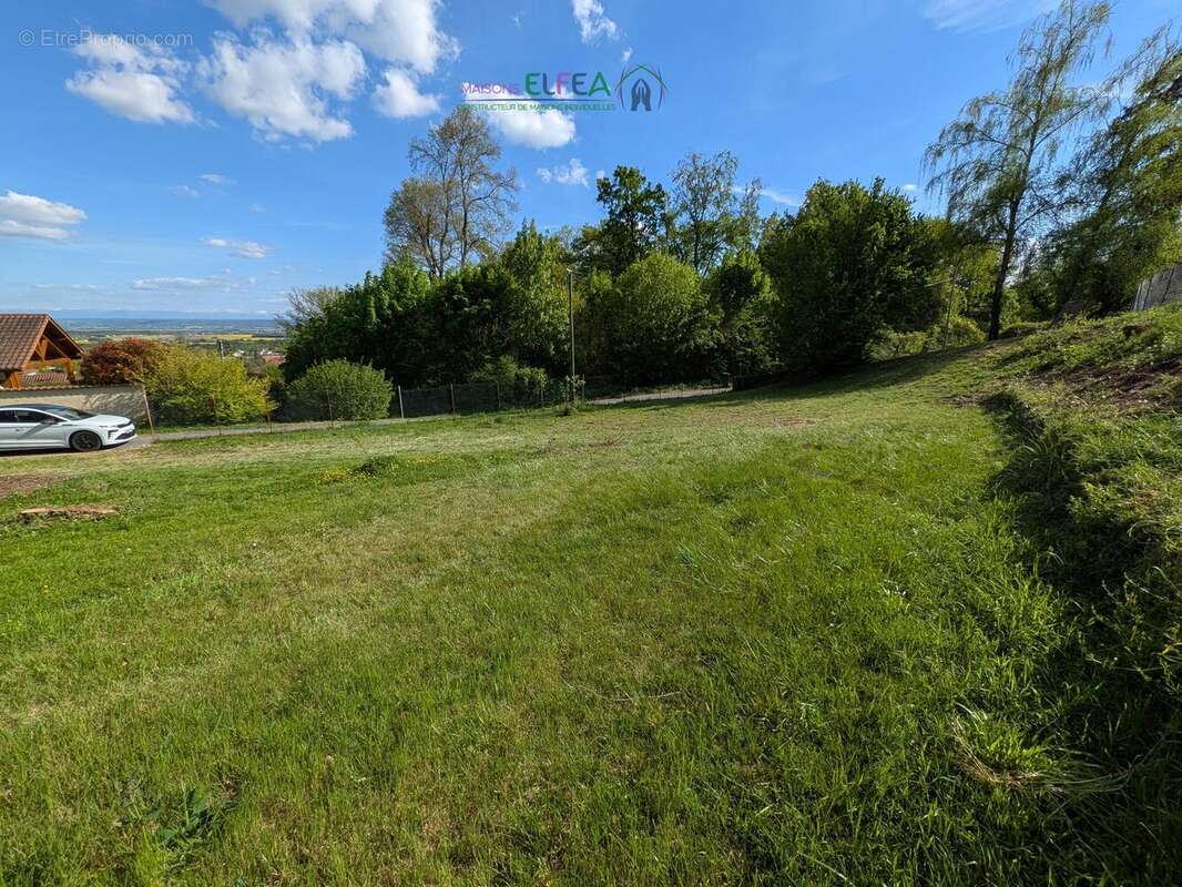 n°3 - Terrain à MOISSIEU-SUR-DOLON