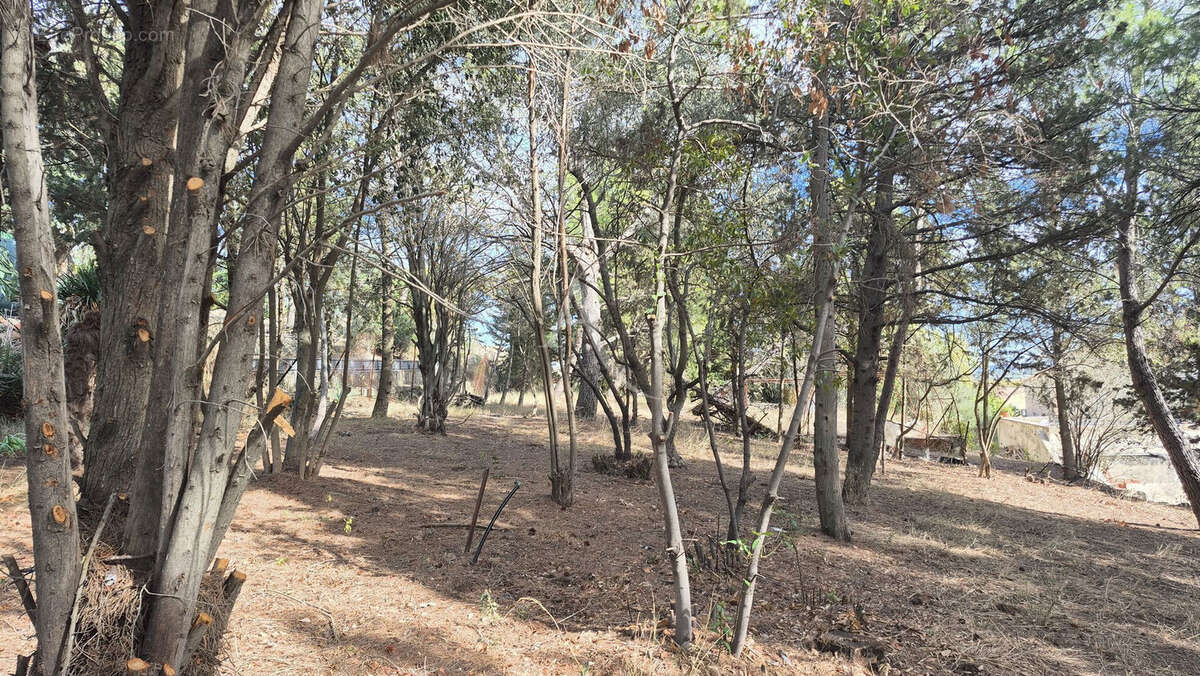 Terrain à OUVEILLAN