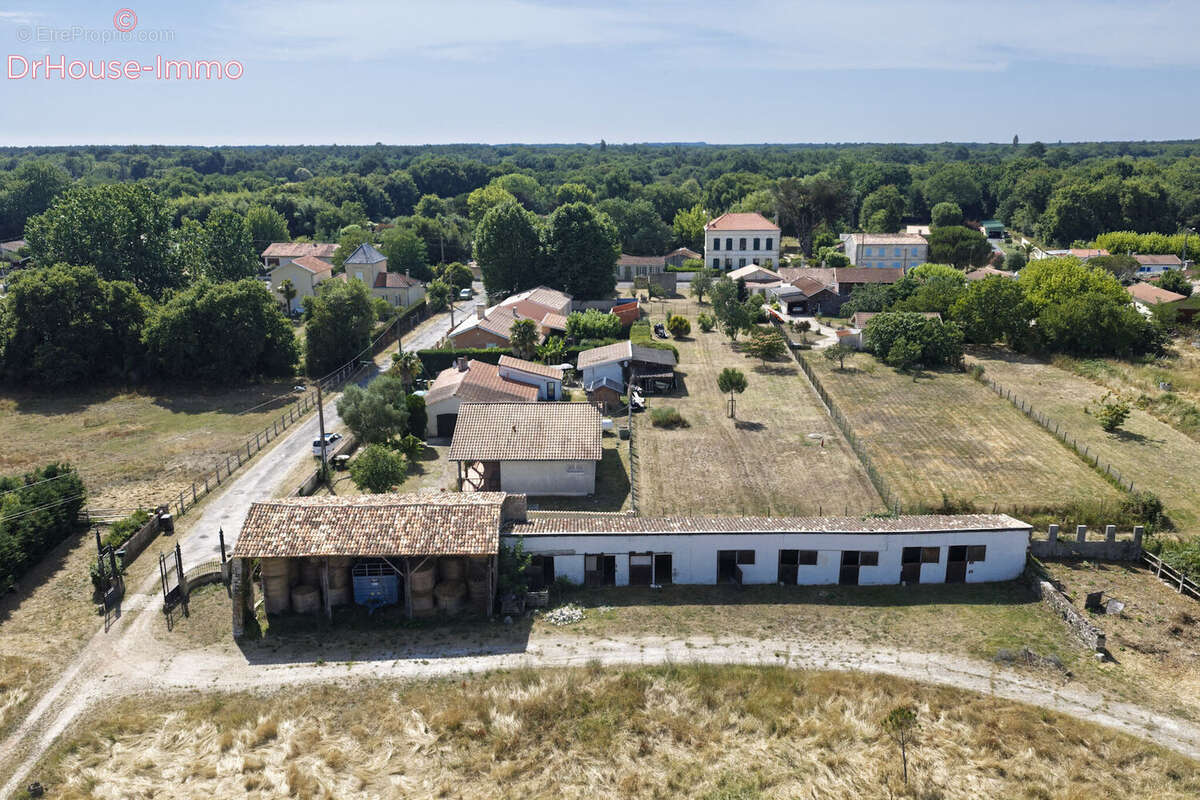 Maison 800 m² à Saint-Vivien-De-Medoc  - photo 14