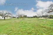 Terrain à SAINT-PIERRE-D&#039;EYRAUD