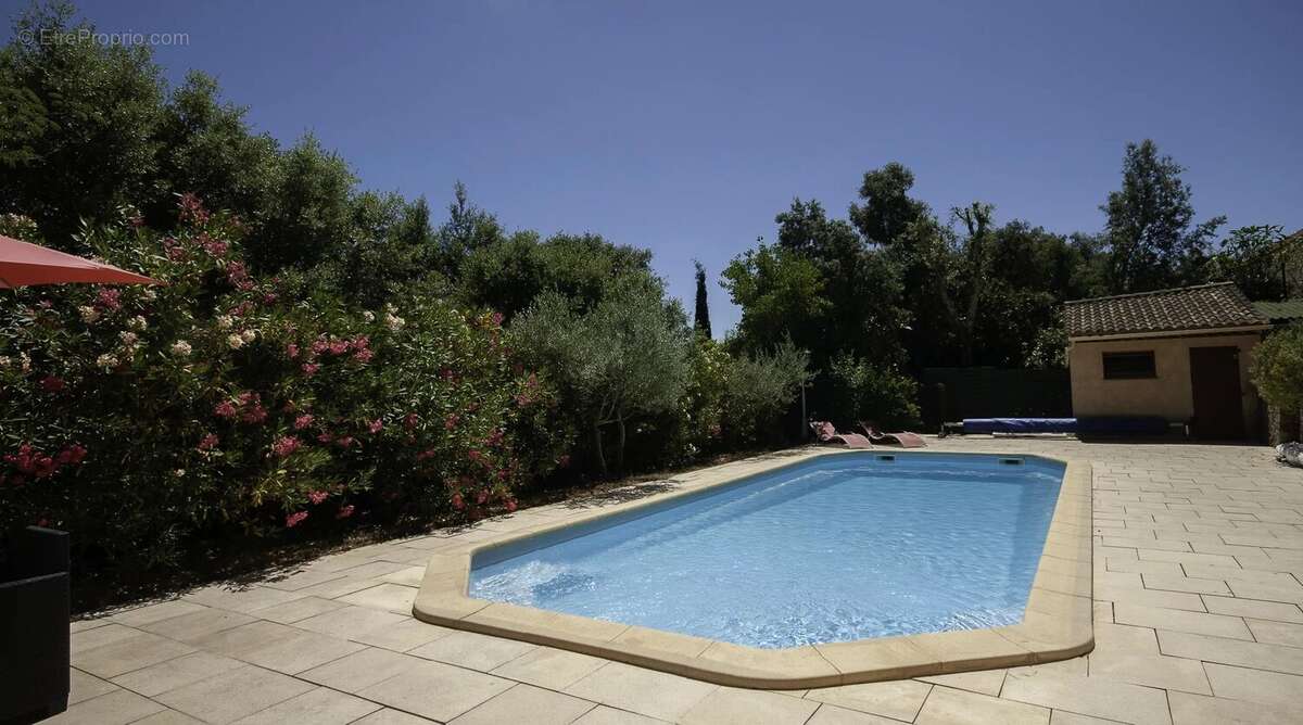 Maison à MONTFORT-SUR-ARGENS