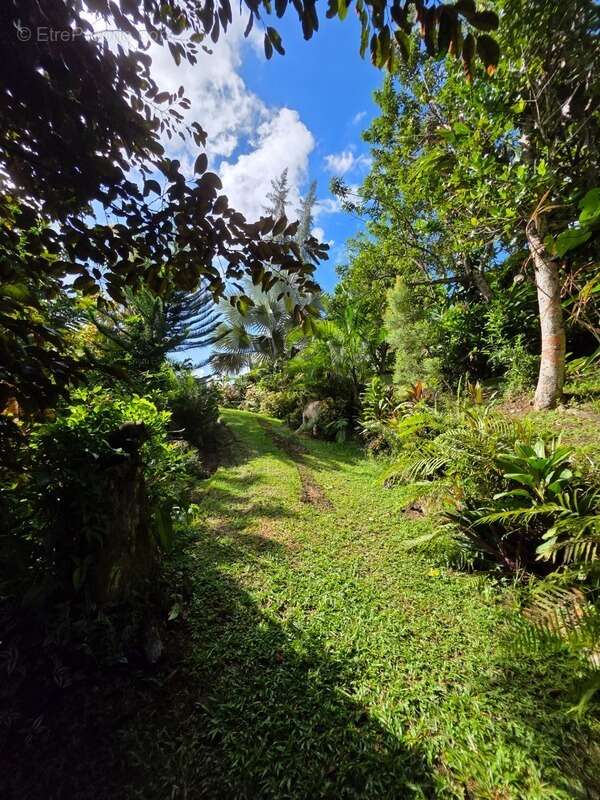 Maison à BAIE-MAHAULT