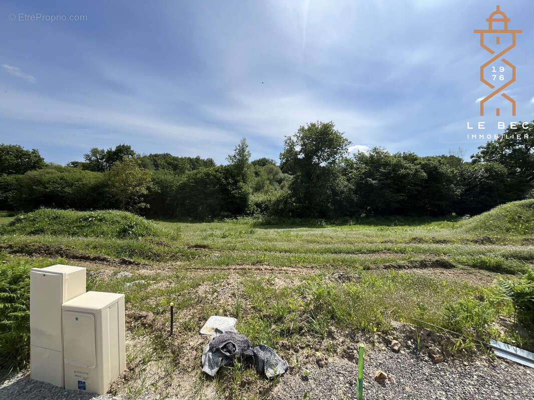 Terrain à PLUMELIN