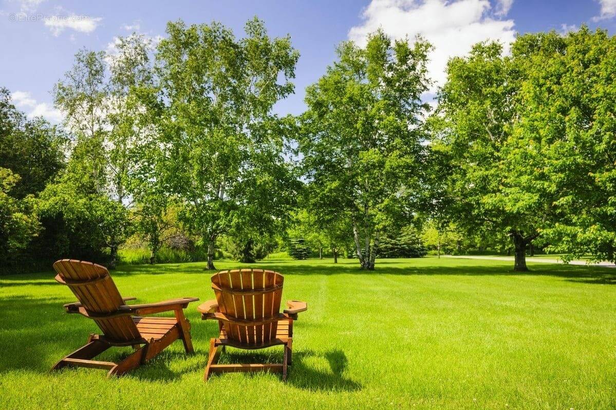 Terrain à SAINTE-CECILE