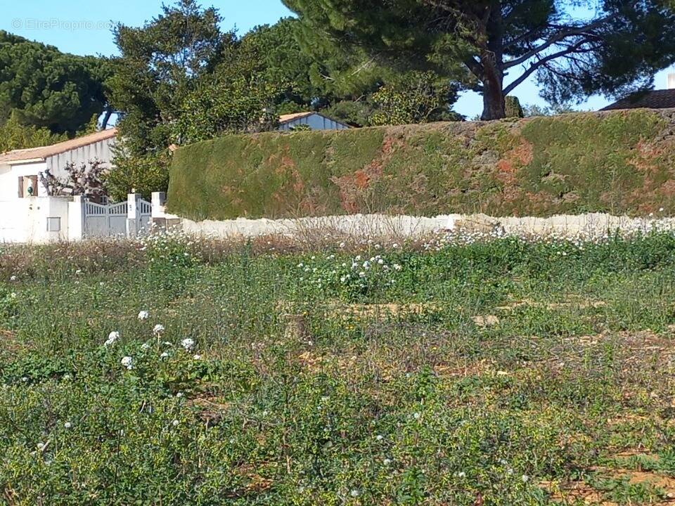 Terrain à MAUGUIO