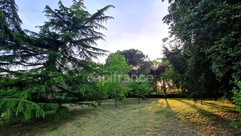 À vendre : Propriété à restaurer, à 10 mn d'Auvillar, d'environ 240 m2 habitables, sur terrain de 7400 m2  (82) - photo 24