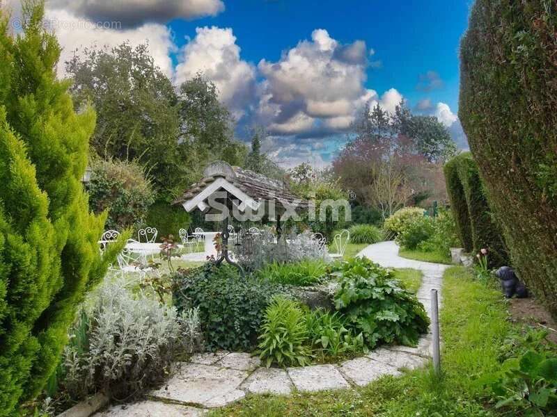 Commerce à CHEVERNY