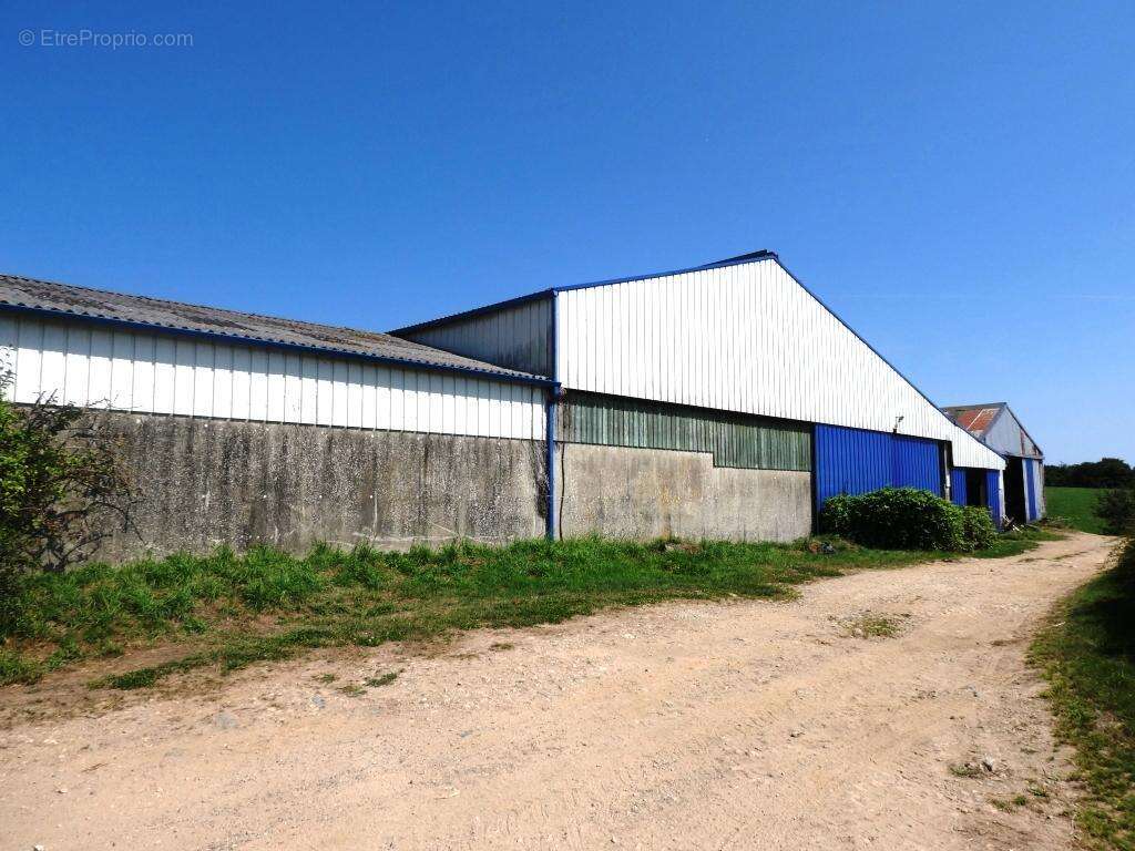 Exploitation agricole - photo 16