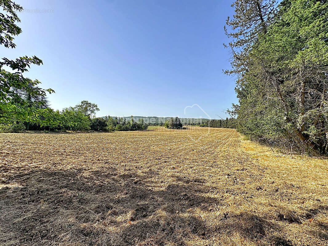Propriété de caractère Bastide, dépendances, énorme potentiel ! - photo 12