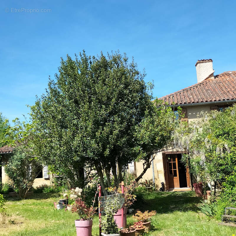 Maison à MASSEUBE