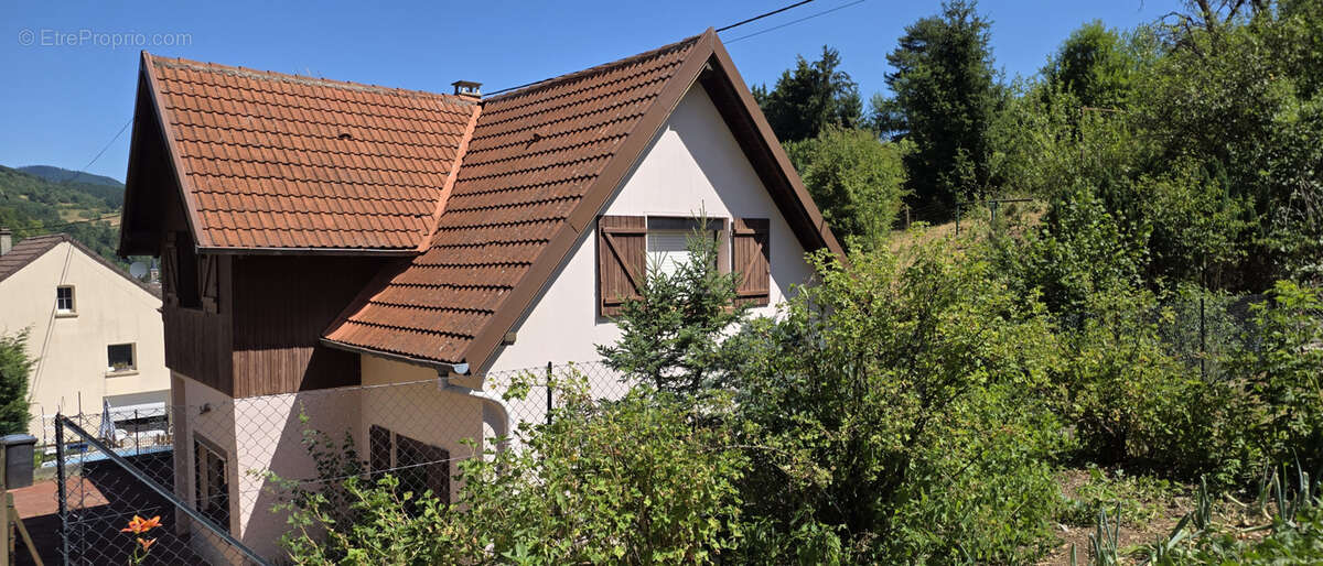Rothau, grande maison individuelle avec logement indépendant, 12.76 ares. - photo 22