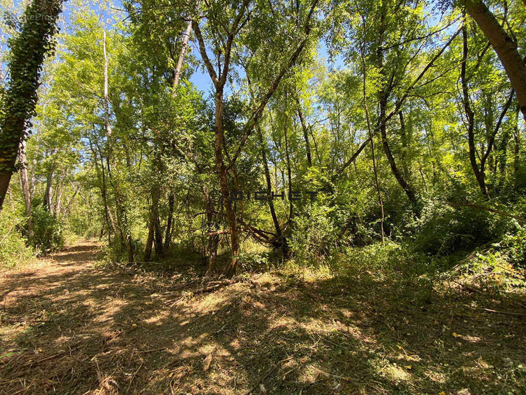 Terrain à FRONSAC