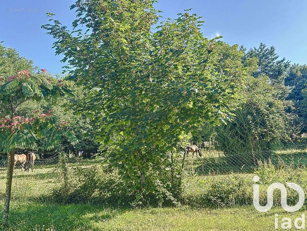 Photo 4 - Maison à SAINT-AVE