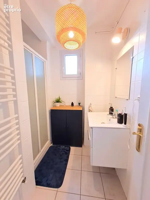Andrézieux-bouthéon appartement en duplex + jardin privatif + cave - photo 5