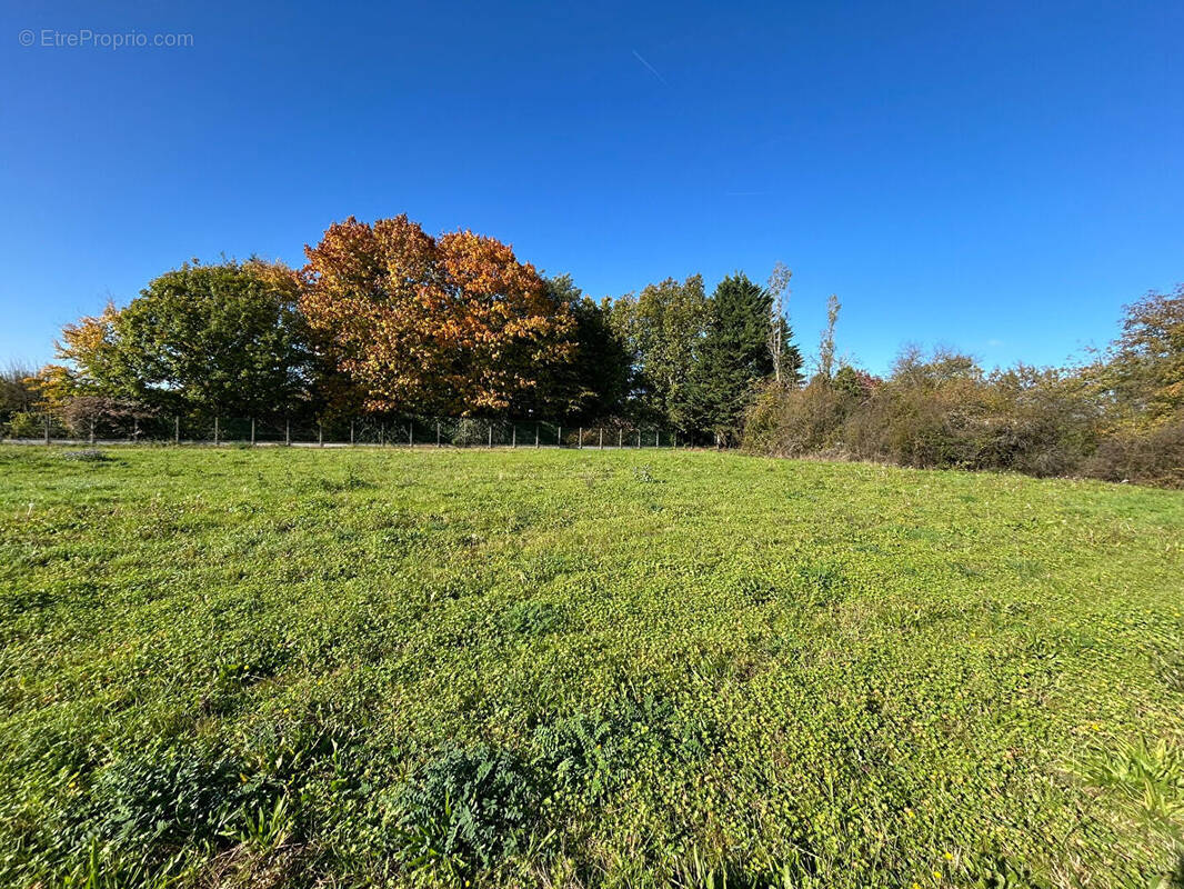 Terrain à MONTIGNY-SUR-LOING