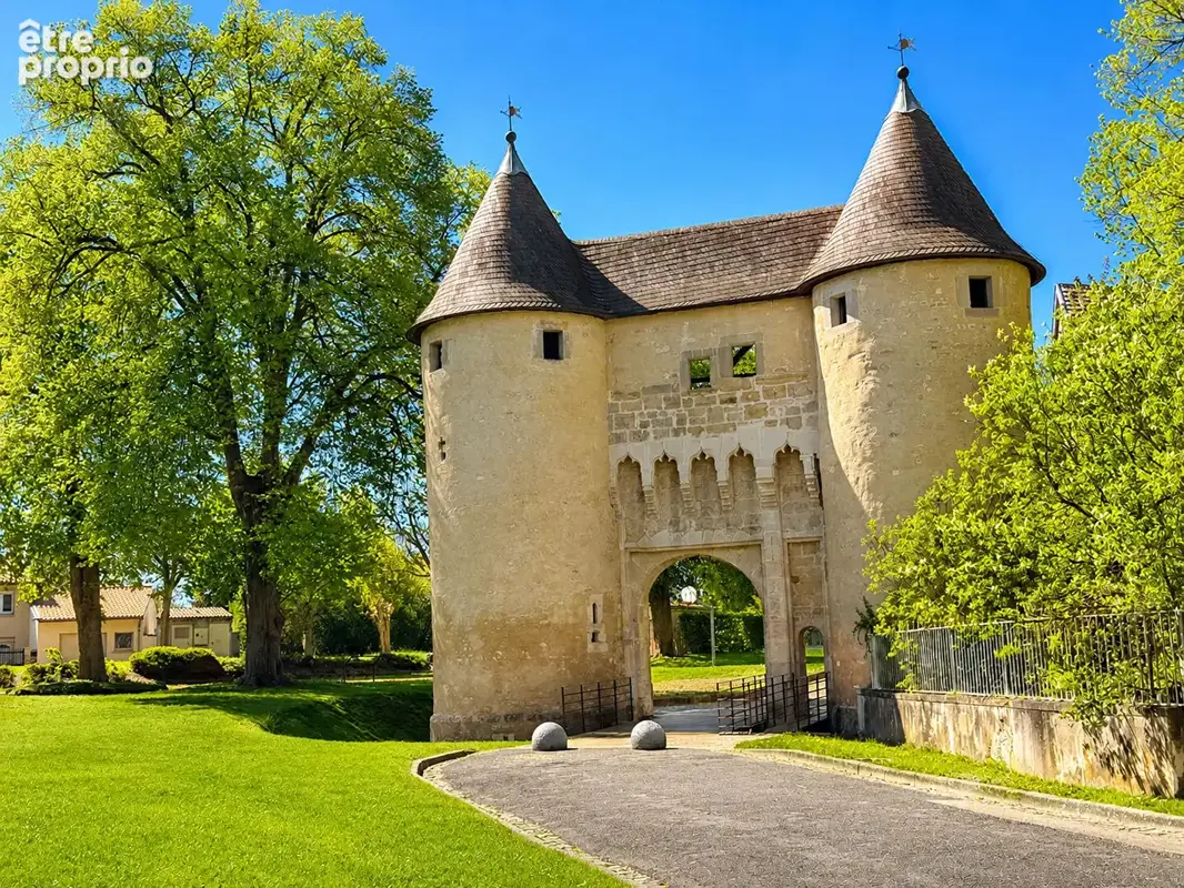 Propriété de charme aux portes de Nancy - photo 17