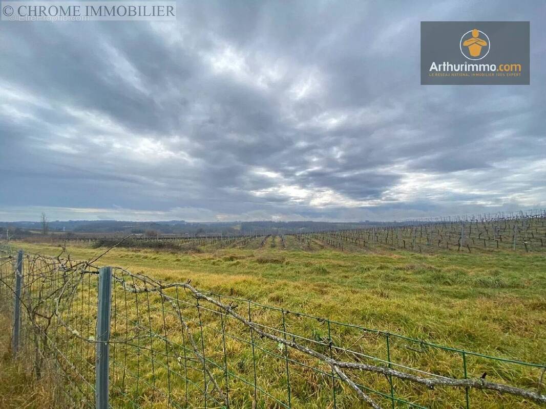 Terrain à PELLEGRUE