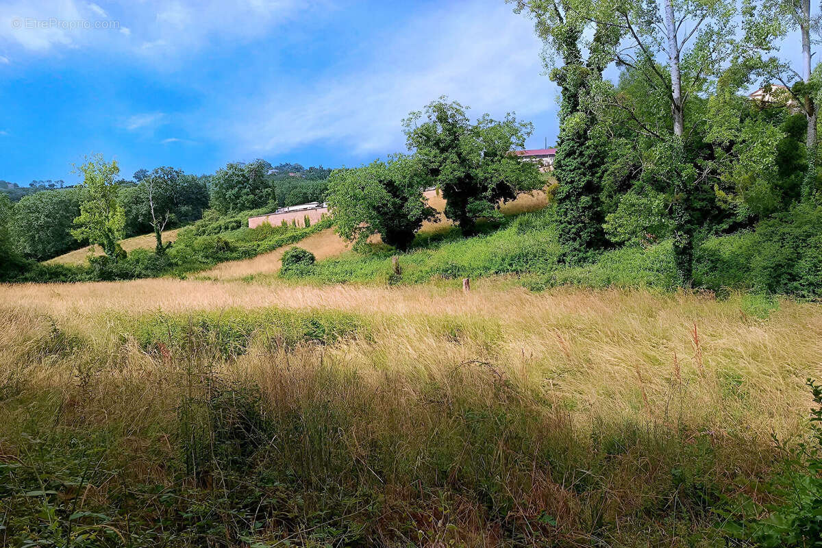 Terrain constructible de 4217 m²  à Mirandol Bourgnounac - photo 2