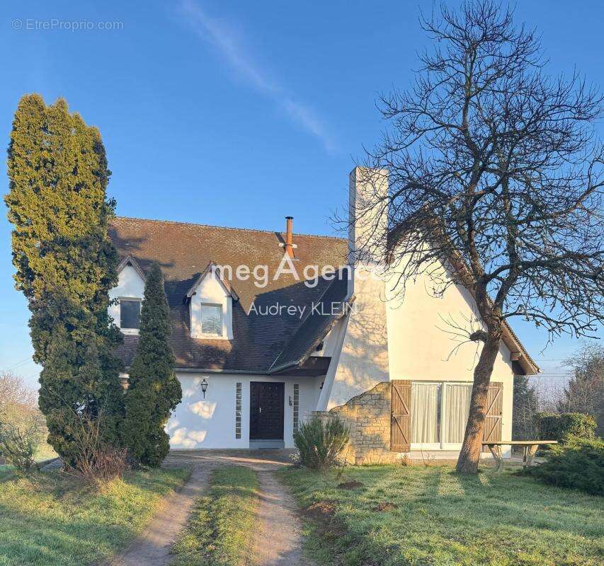 Maison à VILLENEUVE-SUR-YONNE