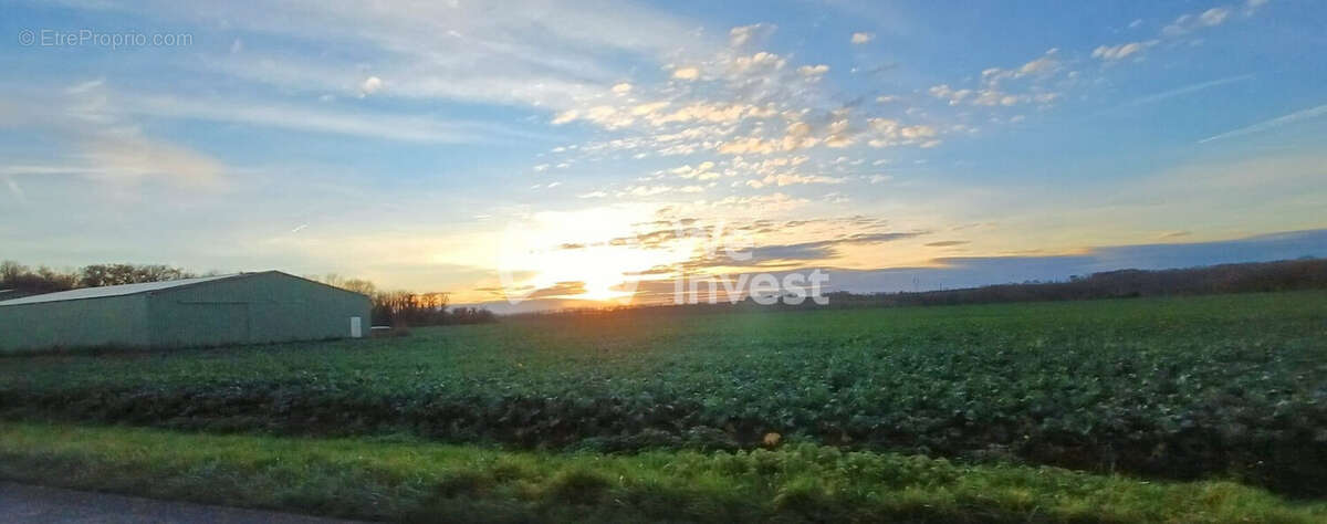 Terrain à GERMIGNY-L'EVEQUE