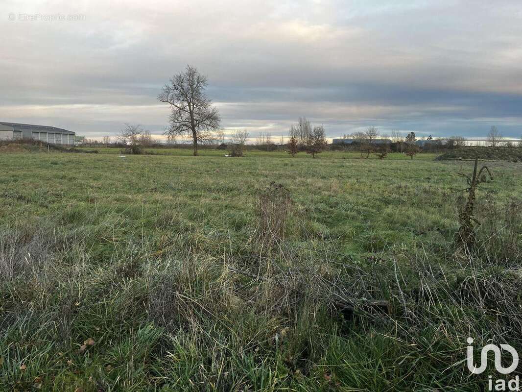 Photo 3 - Terrain à CAZERES