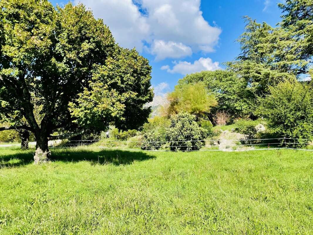 Terrain à BUIS-LES-BARONNIES