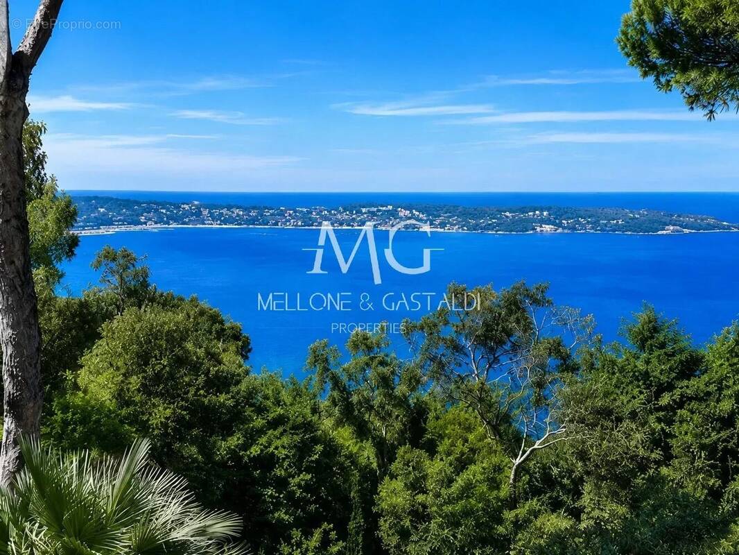 Maison à CANNES