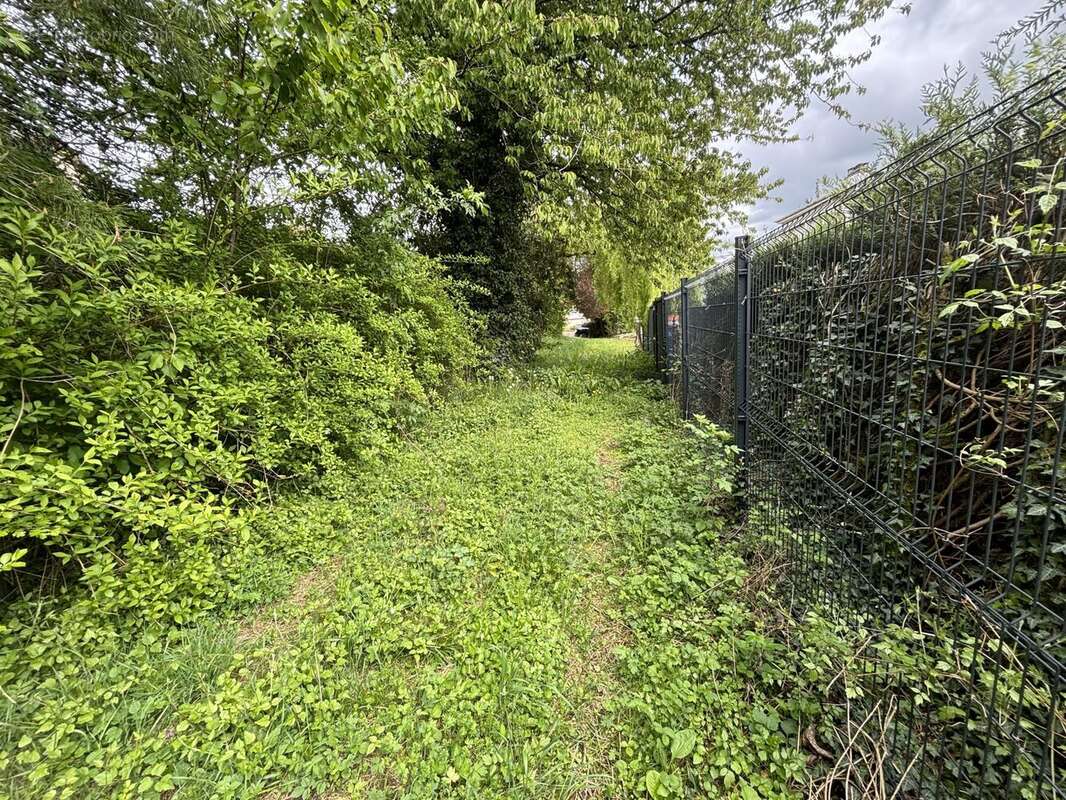 Terrain à SARREBOURG