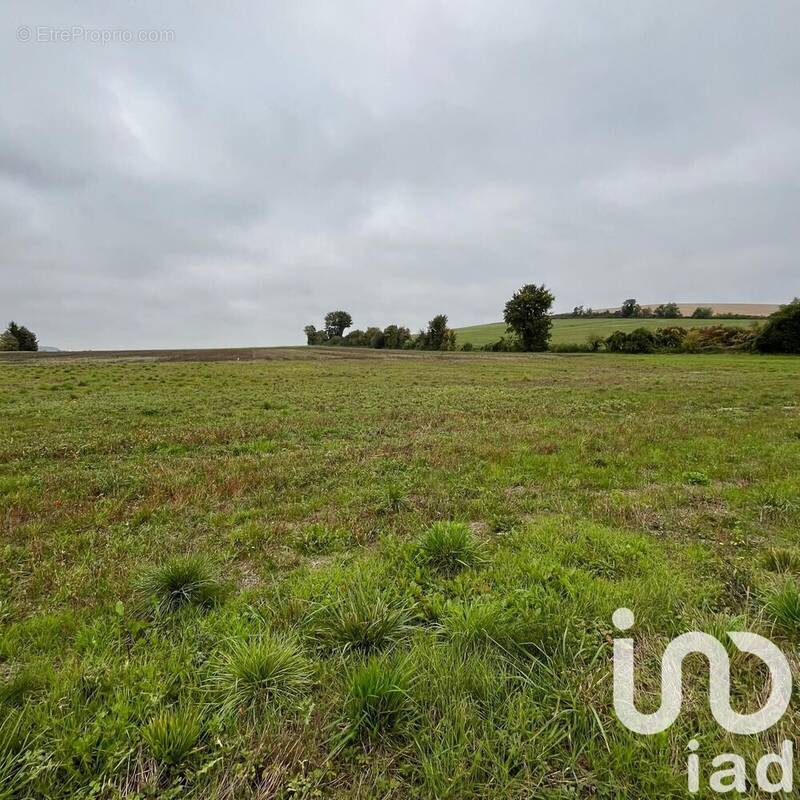 Photo 1 - Terrain à MESSON