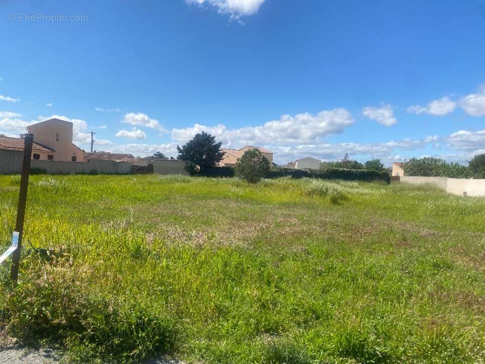Terrain à SAINT-NAZAIRE-D'AUDE
