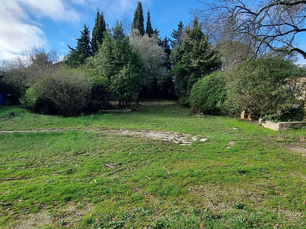 Terrain à SUSSARGUES