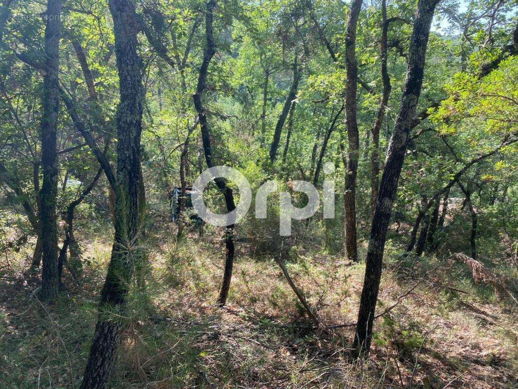 Terrain boisé non constructible / terrain de loisirs - chasse / bois / camping - photo 2