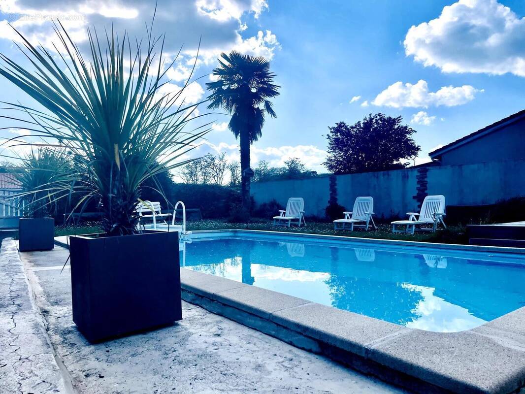 Photo 1 - Maison à SAINT-MEDARD-EN-JALLES