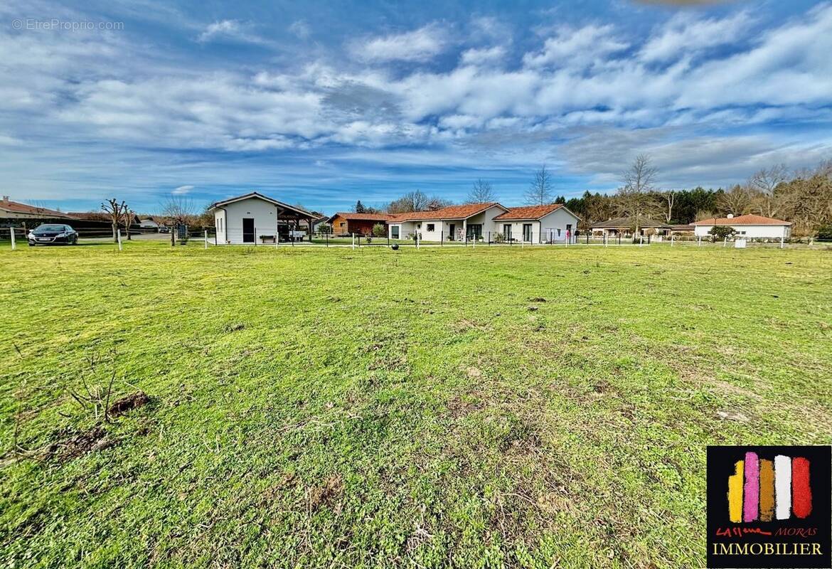 Terrain à SAINT-JULIEN-EN-BORN