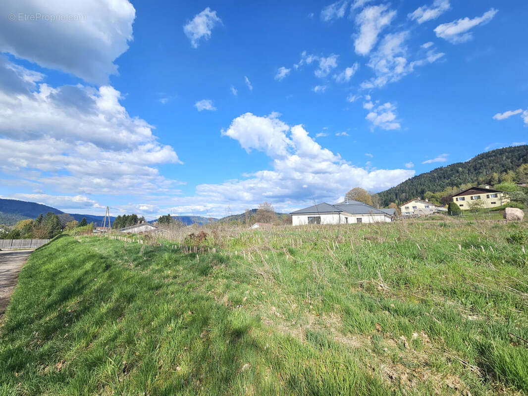 20260417_165013 - Terrain à DOMMARTIN-LES-REMIREMONT