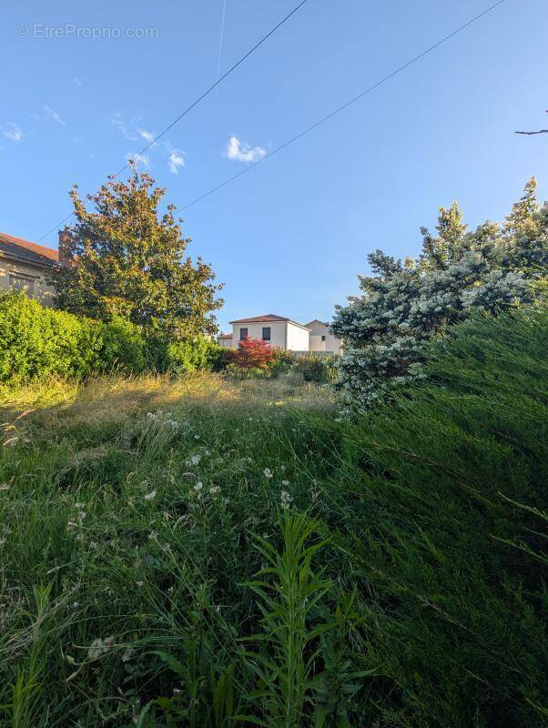 Terrain à GRIGNY