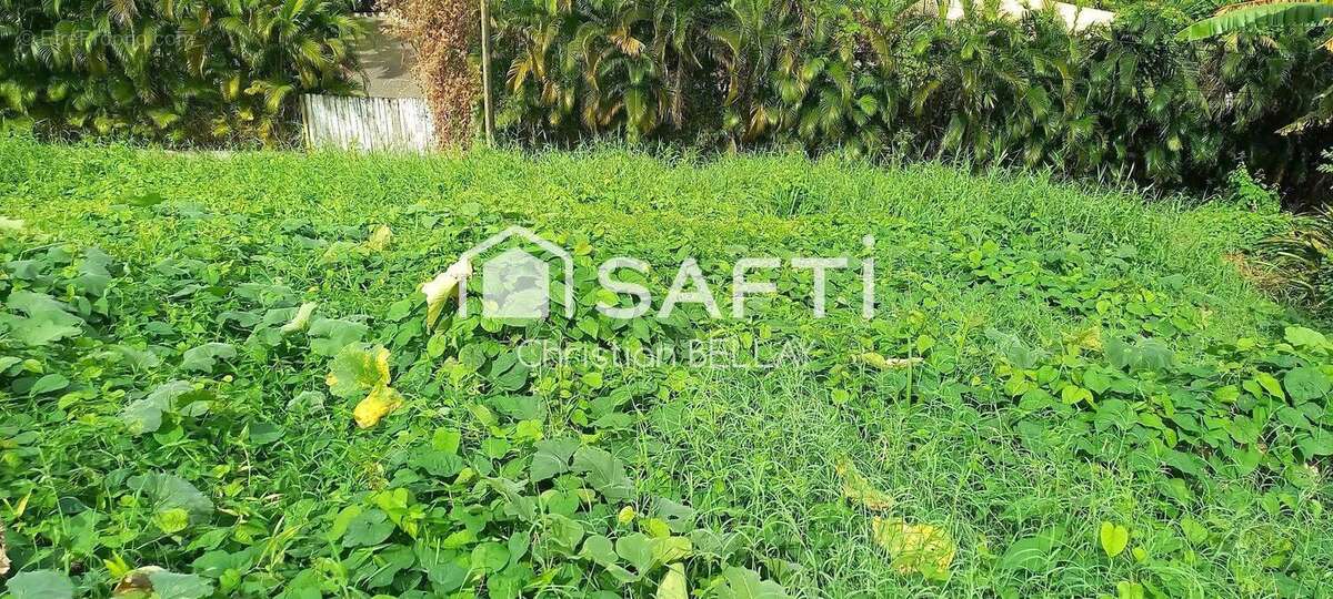 Photo 2 - Terrain à LE FRANCOIS