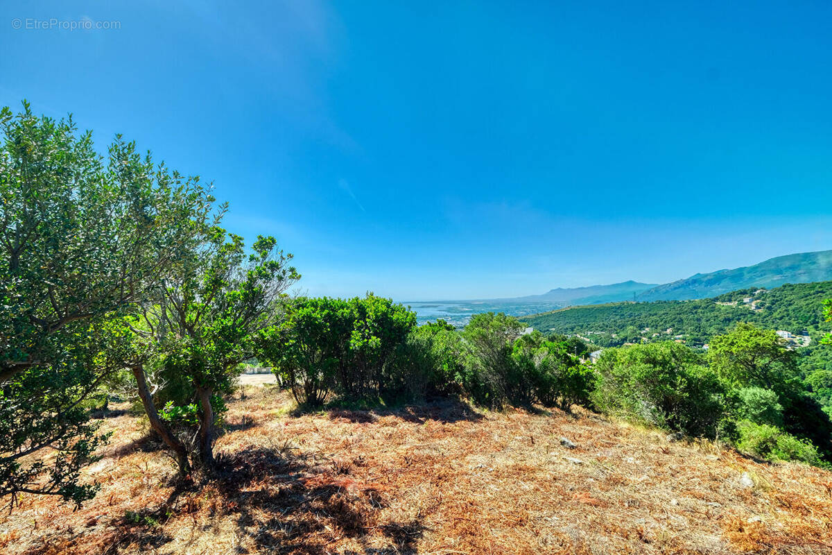 Terrain à BASTIA