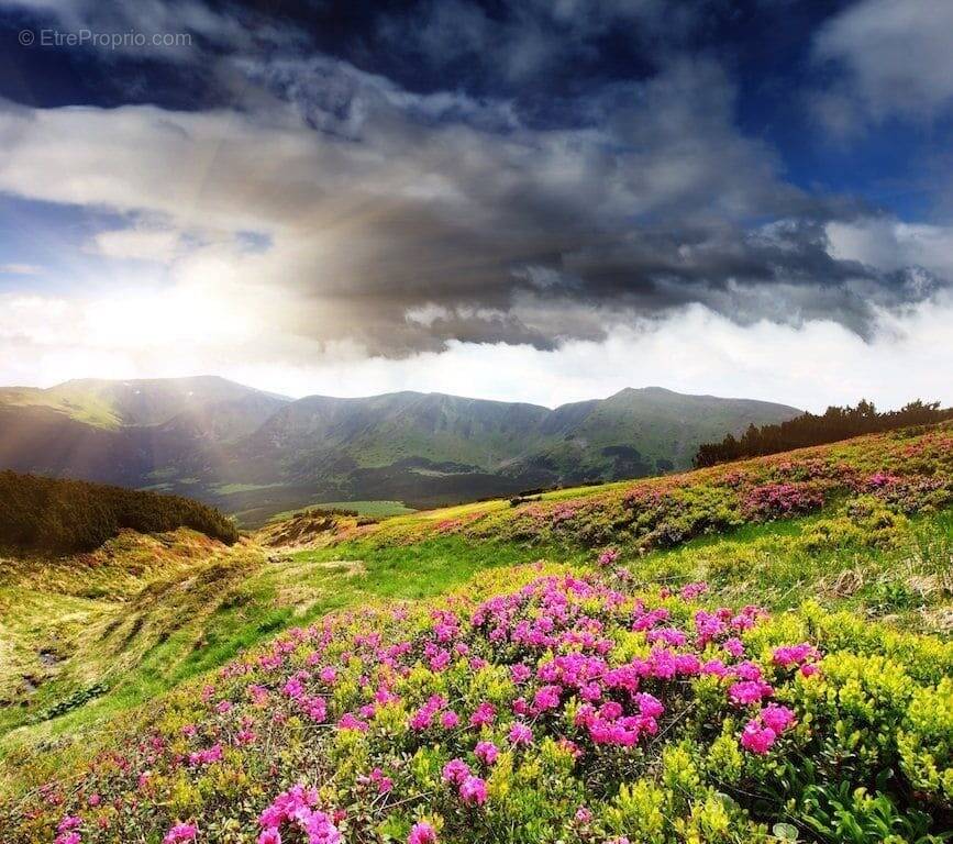 Terrain à THORENS-GLIERES