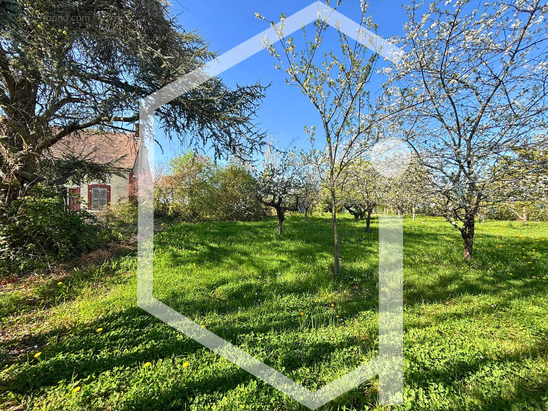 Maison à CHATILLON-SUR-LOIRE