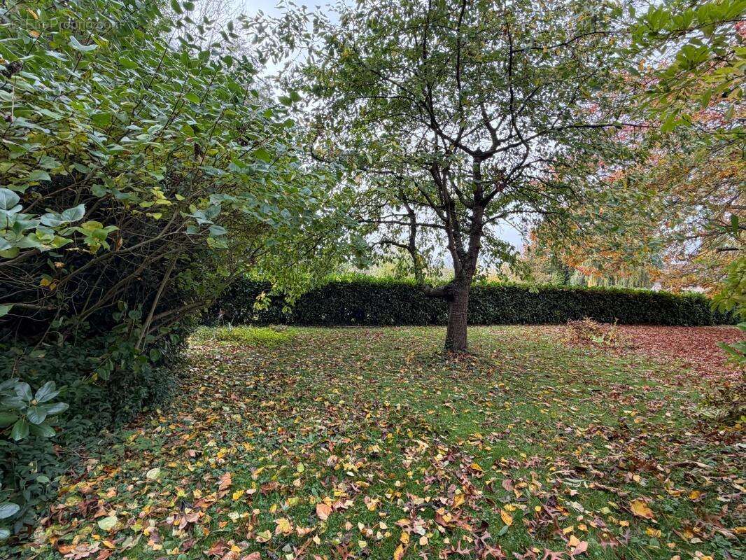 Terrain à MAREIL-LE-GUYON