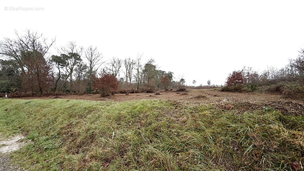 Terrain à CAUBEYRES