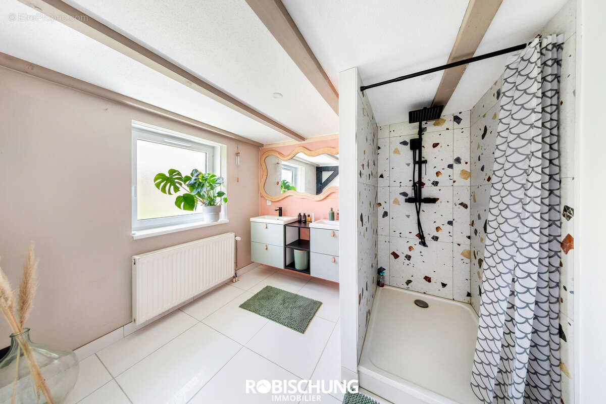 Secteur DANNEMARIE : Ensemble immobilier - photo 10
