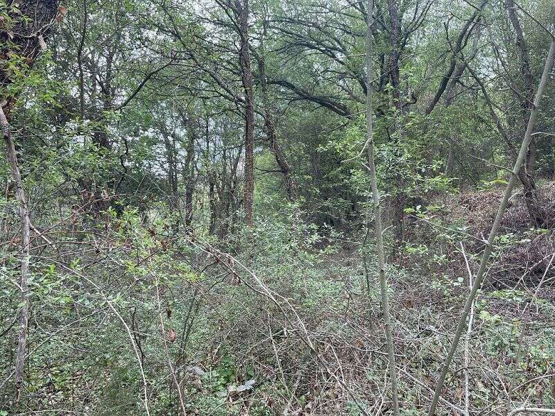 Terrain à MARQUIXANES