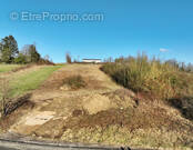 Terrain à HAUTE-KONTZ