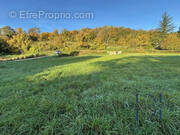 Vue d&#039;ensemble (2 terrains à bâtir) - Terrain à BRAY-ET-LU