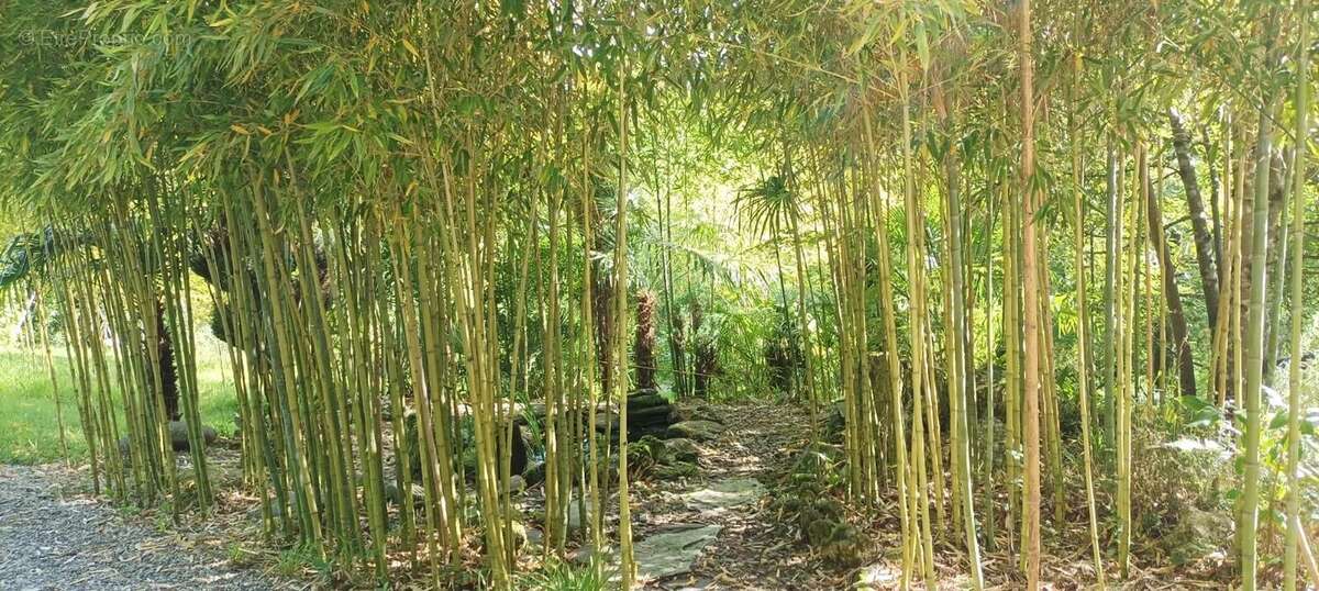 Maison à MONTAUT-LES-CRENEAUX